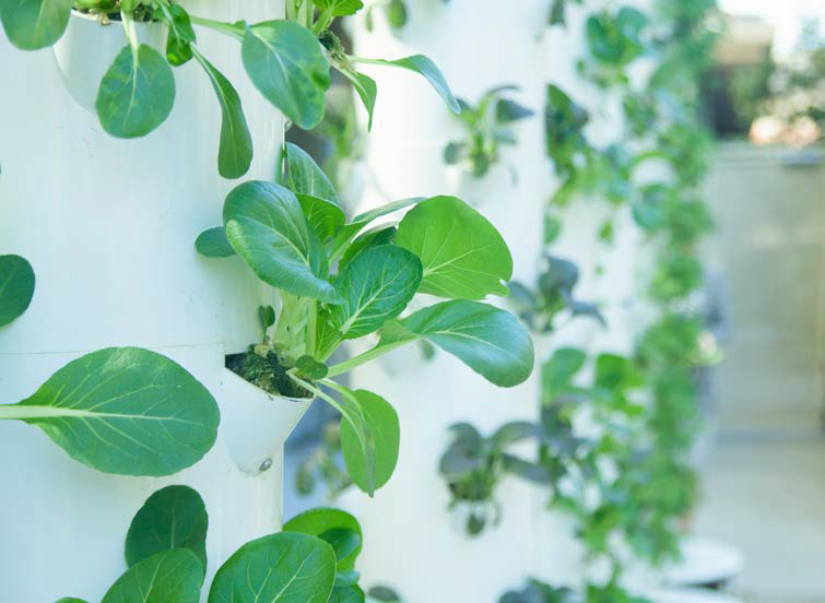 sustainble living 65